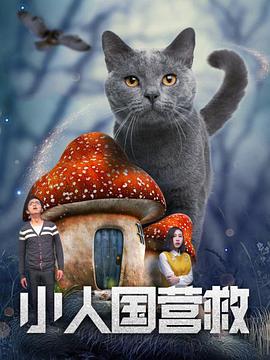 婷婷激情综合网