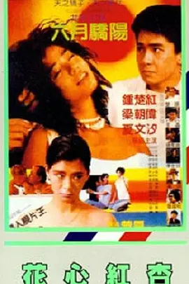 日本高清视频www夜色资源