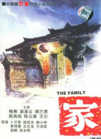 西野翔在线播放