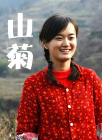 kim ai官网